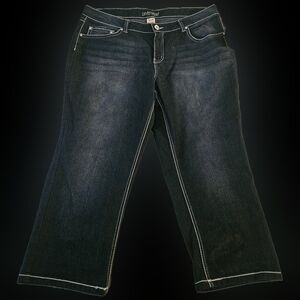 Faded Glory Capri Pants size 20w